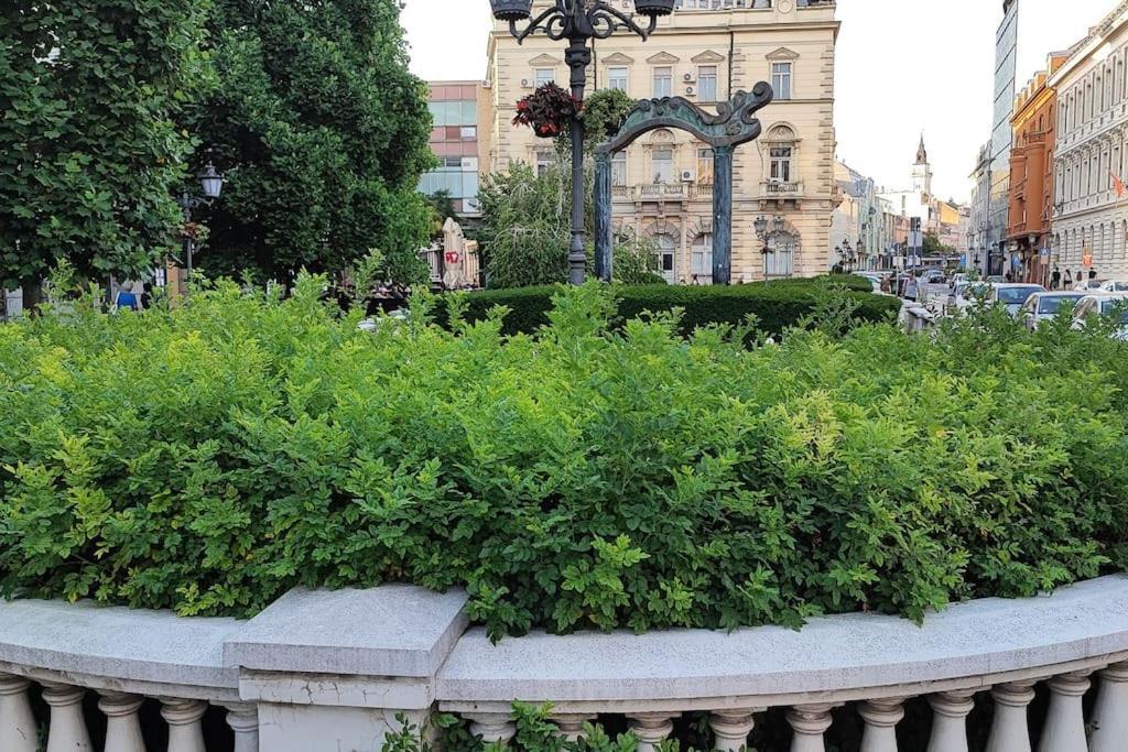 Filinhome Trg Mladenaca Novi Sad Exteriér fotografie